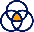 Product Managers
